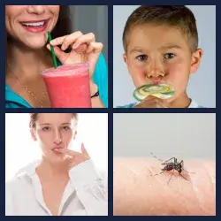 4 Pics 1 Word Level 3097