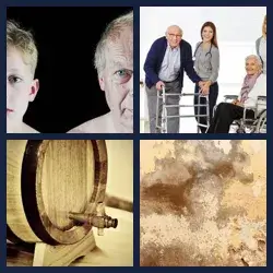 4 Pics 1 Word Level 3104