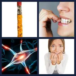 4 Pics 1 Word Level 3113