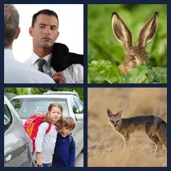 4 Pics 1 Word Level 3117