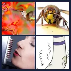 4 Pics 1 Word Level 3139
