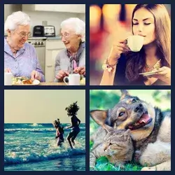 4 Pics 1 Word Level 3142