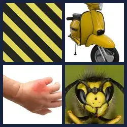 4 Pics 1 Word Level 3146