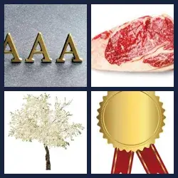 4 Pics 1 Word Level 3160