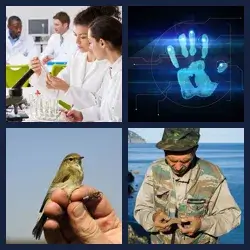 4 Pics 1 Word Level 3162