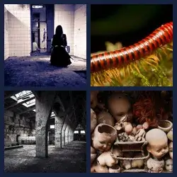 4 Pics 1 Word Level 3163