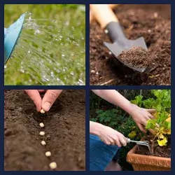 4 Pics 1 Word Level 3177