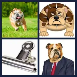 4 Pics 1 Word Level 3182