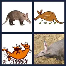 4 Pics 1 Word Level 3193