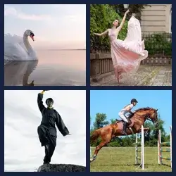 4 Pics 1 Word Level 3217