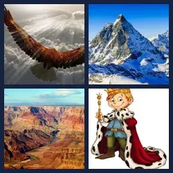 4 Pics 1 Word Level 3219