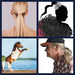 4 Pics 1 Word Level 3233