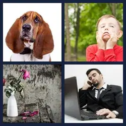 4 Pics 1 Word Level 3259