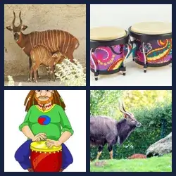 4 Pics 1 Word Level 3264