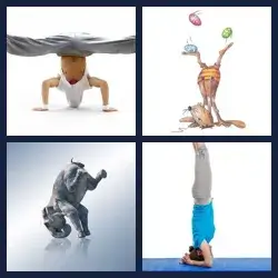 4 Pics 1 Word Level 3290