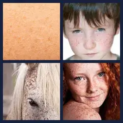 4 Pics 1 Word Level 3293