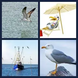 4 Pics 1 Word Level 3298