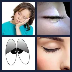 4 Pics 1 Word Level 3318