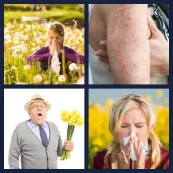 4 Pics 1 Word Level 3332