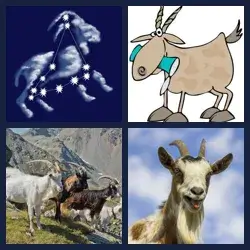 4 Pics 1 Word Level 3337