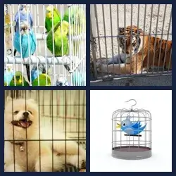 4 Pics 1 Word Level 3338