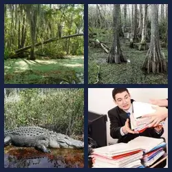 4 Pics 1 Word Level 3349