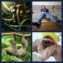 4 Pics 1 Word Level 3350