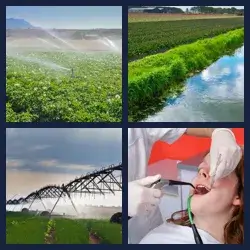 4 Pics 1 Word Level 3355