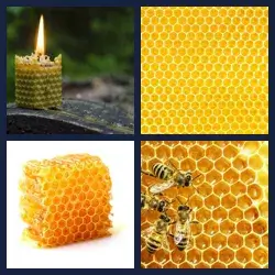 4 Pics 1 Word Level 3359