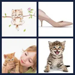 4 Pics 1 Word Level 3370