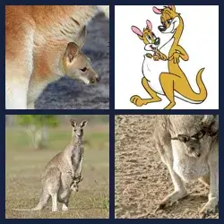 4 Pics 1 Word Level 3391