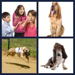 4 Pics 1 Word Level 3399