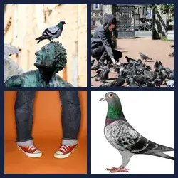 4 Pics 1 Word Level 3406