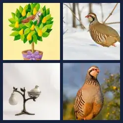 4 Pics 1 Word Level 3407