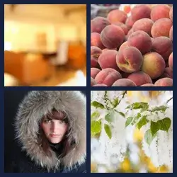 4 Pics 1 Word Level 3411