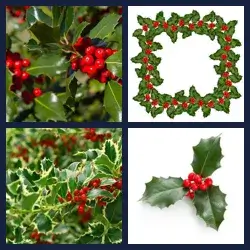 4 Pics 1 Word Level 3413