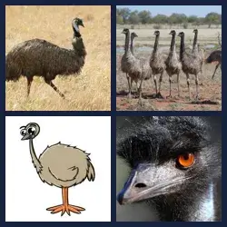 4 Pics 1 Word Level 3425