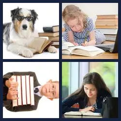 4 Pics 1 Word Level 3431