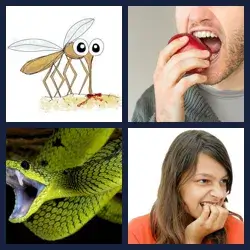 4 Pics 1 Word Level 3433