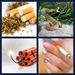 4 Pics 1 Word Level 3436