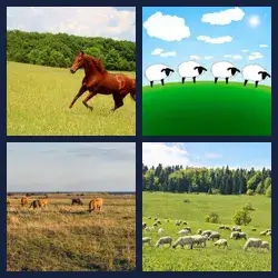 4 Pics 1 Word Level 3438