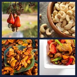 4 Pics 1 Word Level 3447