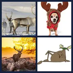 4 Pics 1 Word Level 3456