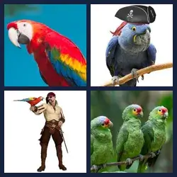 4 Pics 1 Word Level 3469