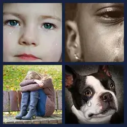 4 Pics 1 Word Level 3475