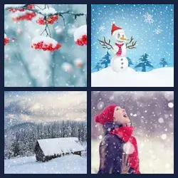 4 Pics 1 Word Level 3483