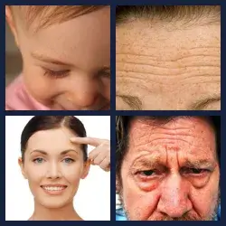 4 Pics 1 Word Level 3488