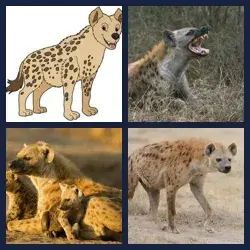 4 Pics 1 Word Level 3489