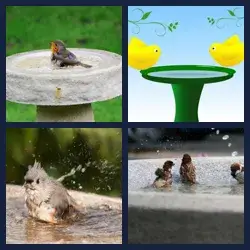 4 Pics 1 Word Level 3494