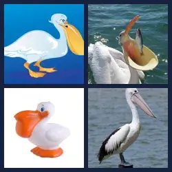 4 Pics 1 Word Level 3498